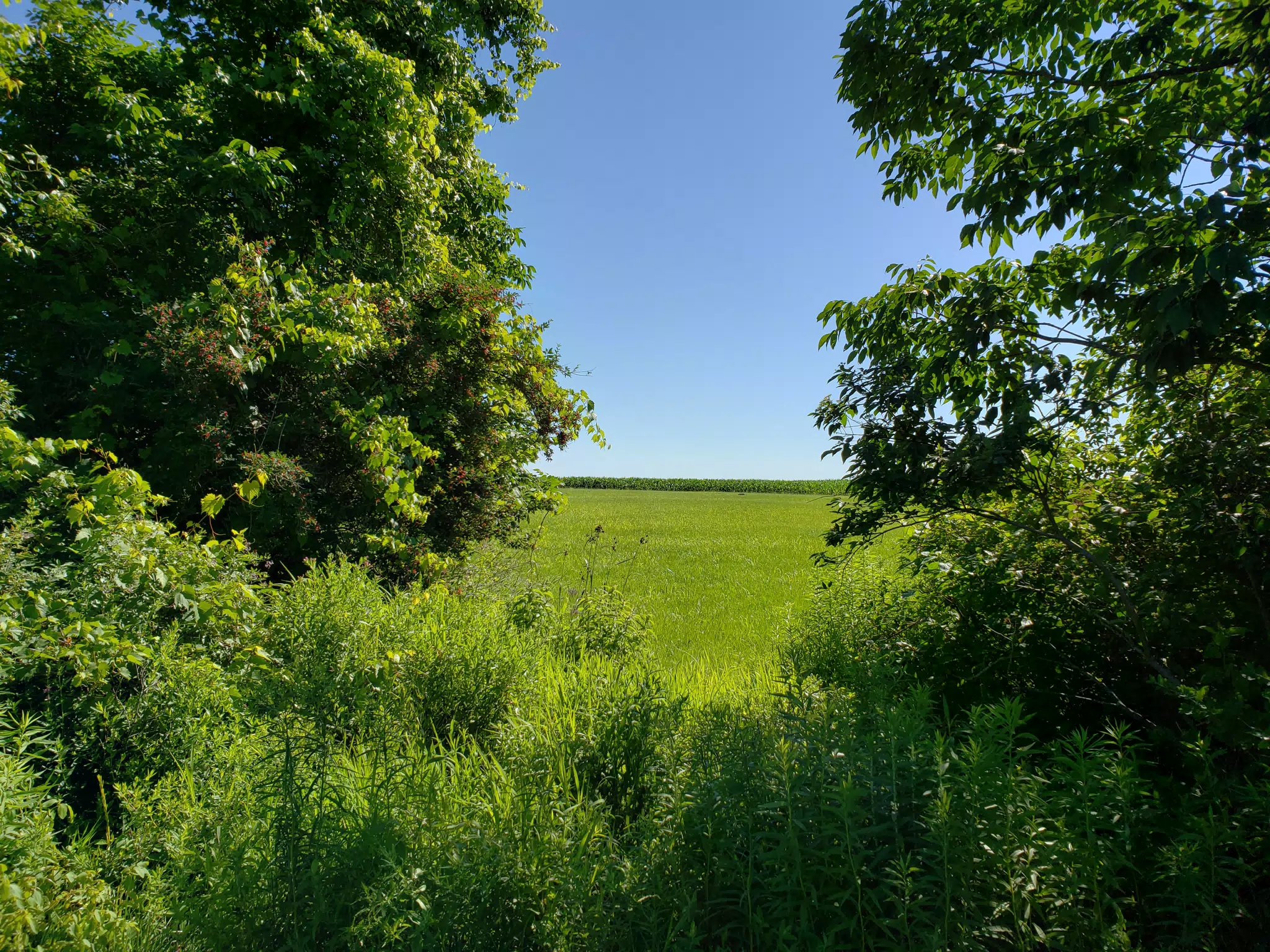 20180707_095623