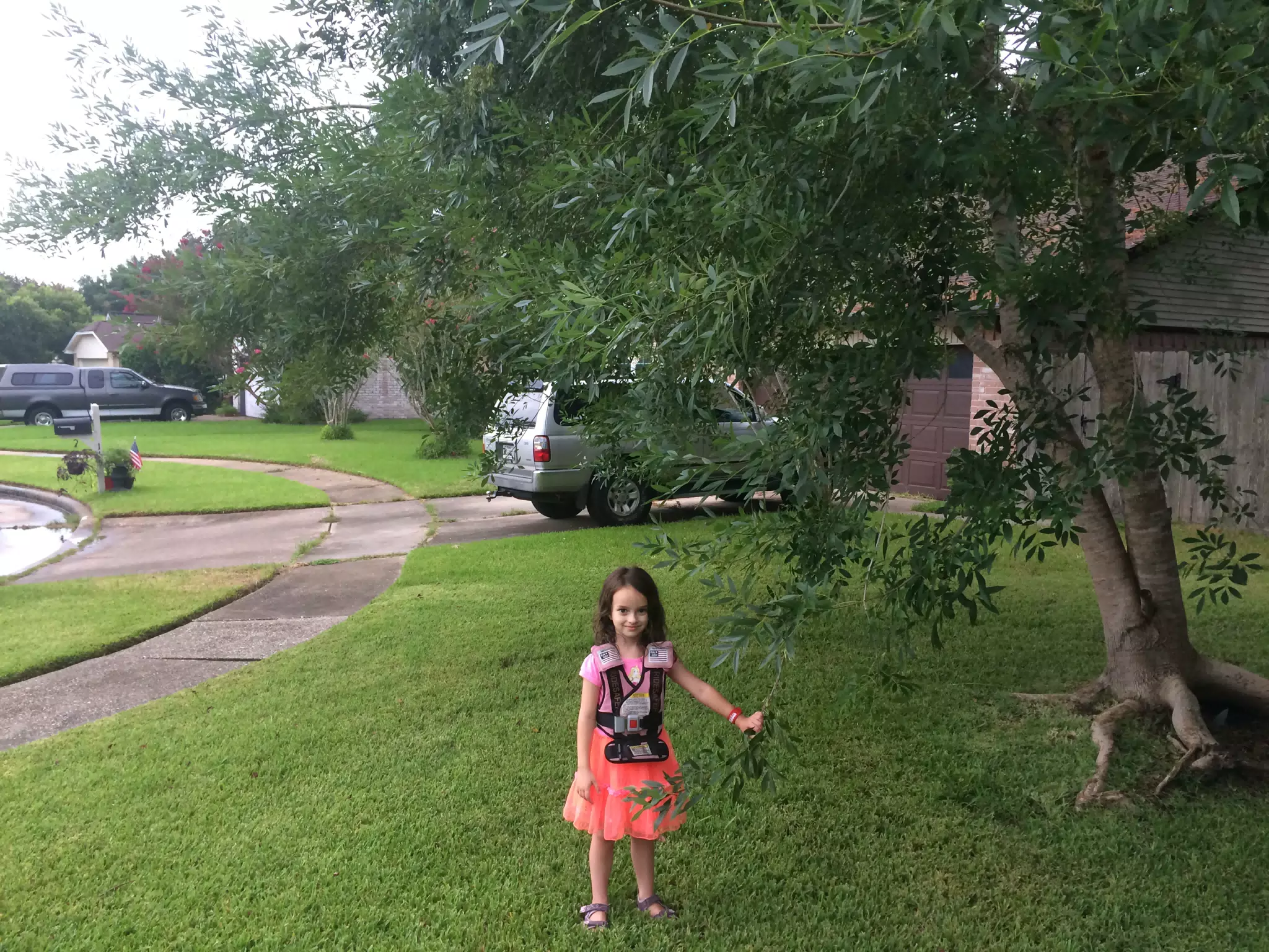 Luciana in Houston
