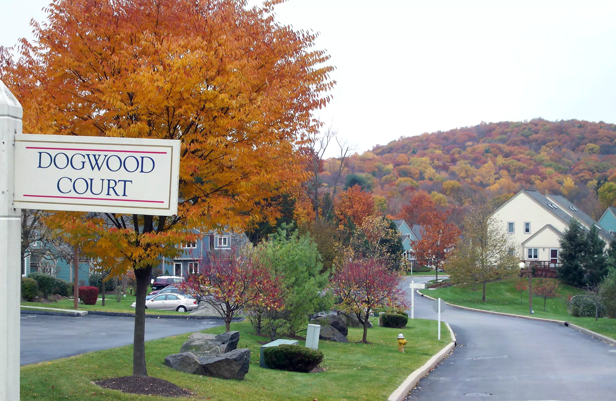 Dogwood Court at Chapel Hill in Peekskill