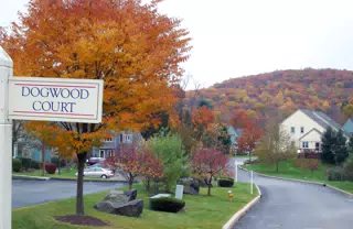 Dogwood Court at Chapel Hill in Peekskill