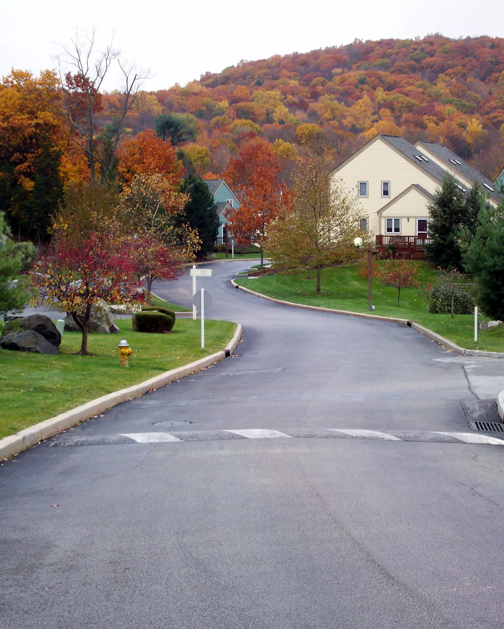 Manor Drive Looking South