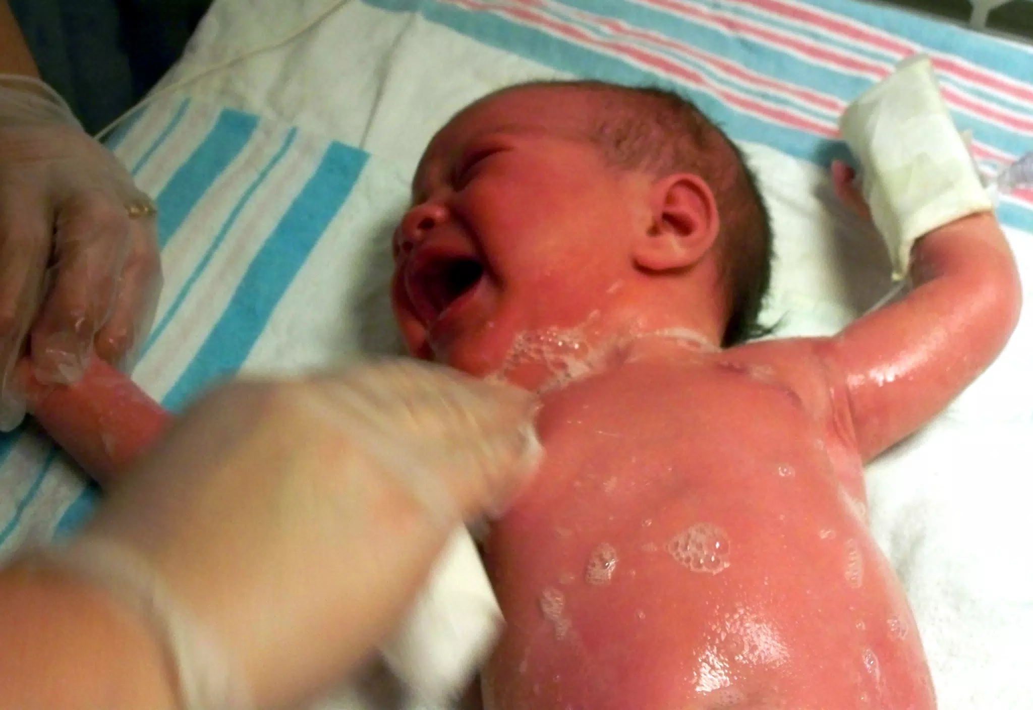 Liesl Covered in Soap