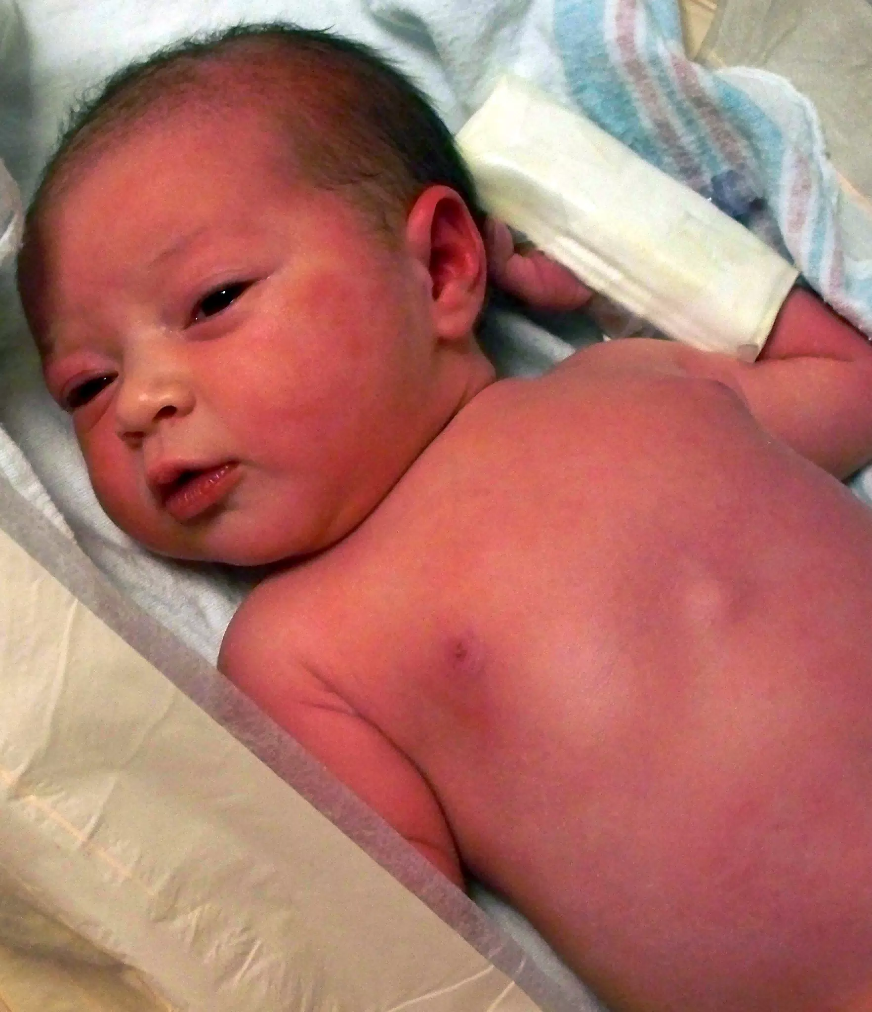 Liesl - Happy in Her Bassinet