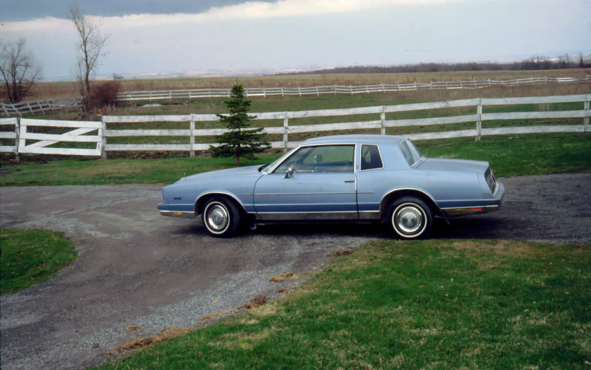 My 1981 Chevrolet Monte Carlo