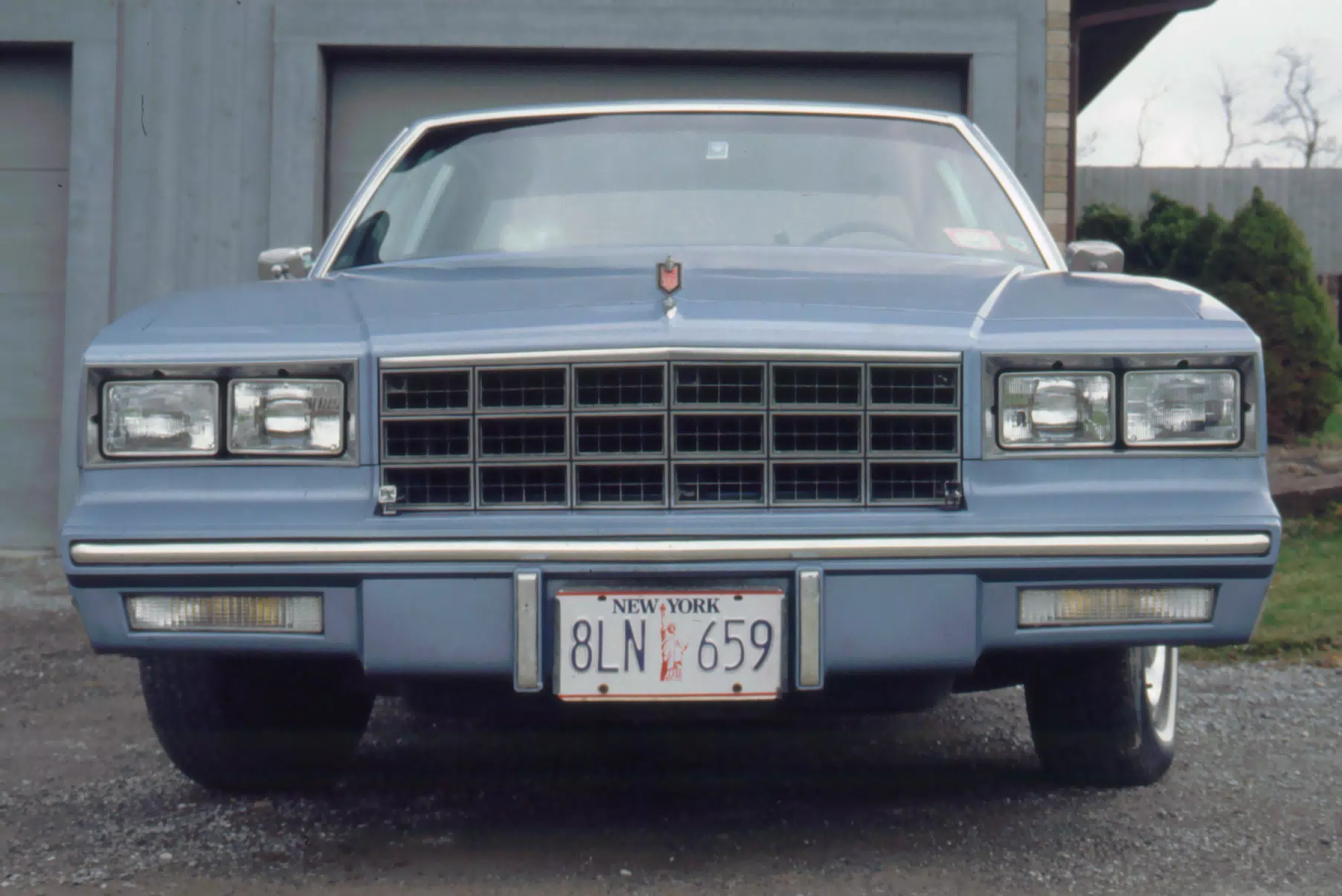 My 1981 Chevrolet Monte Carlo