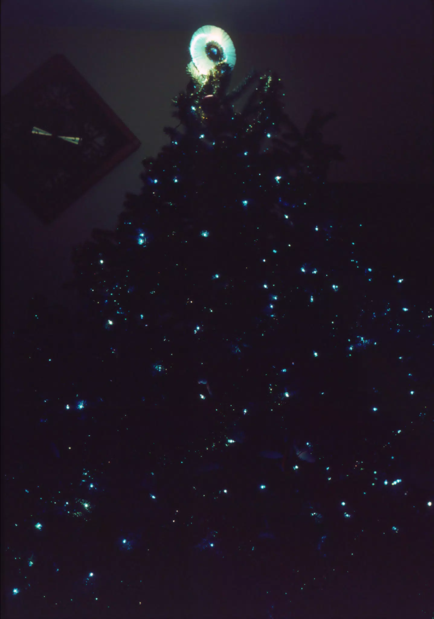 Lights on the Christmas Tree