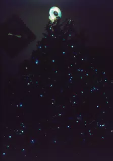 Lights on the Christmas Tree