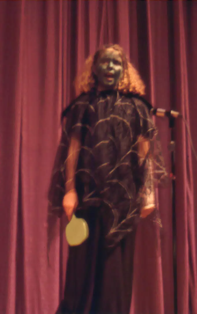 York Central School Elementary Play