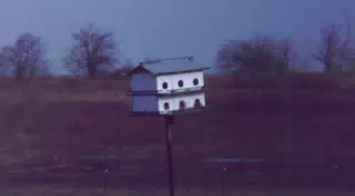 Birdhouse in Winter