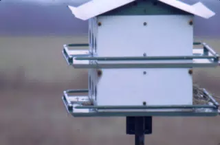 Purple Martin Birdhouse