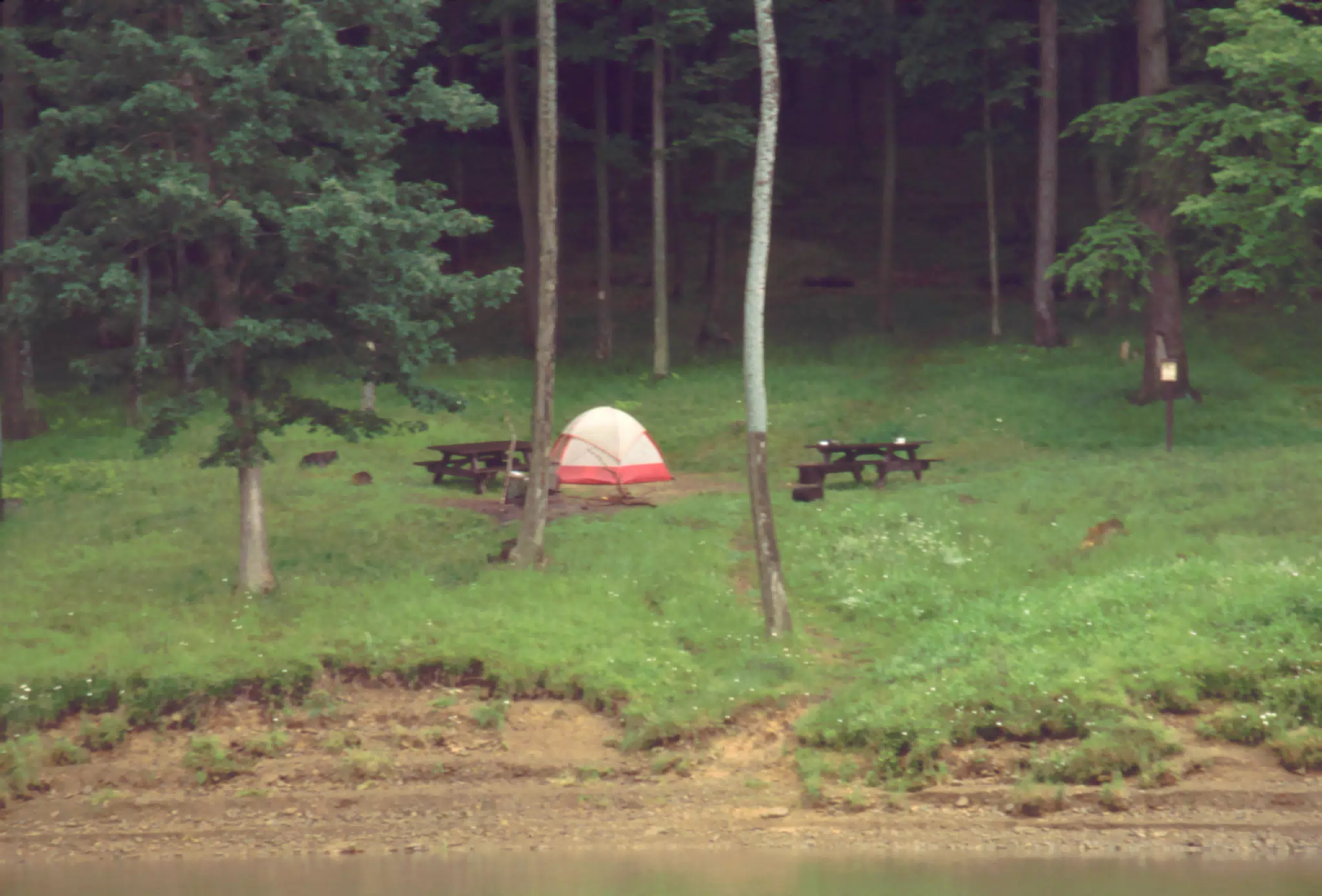 Allegheny National Forest - Handsome Lake Campground