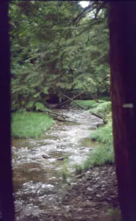 Allegheny National Forest