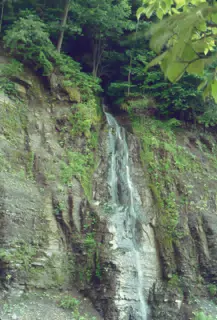 Allegheny National Forest