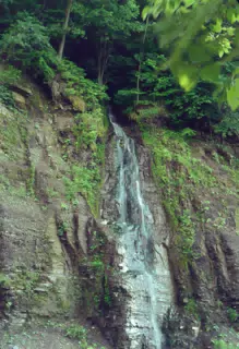 Allegheny National Forest