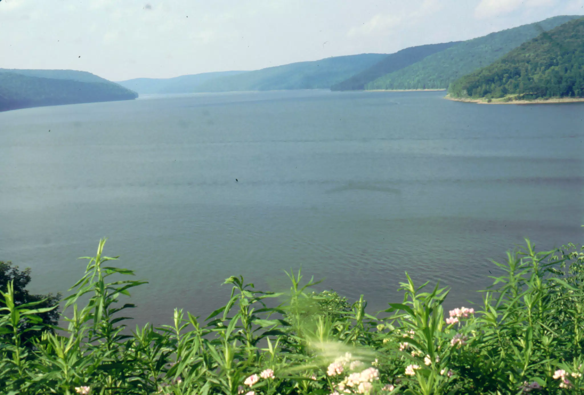 Allegheny National Forest Reservoir