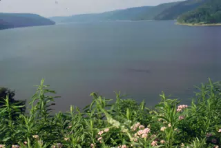 Allegheny National Forest