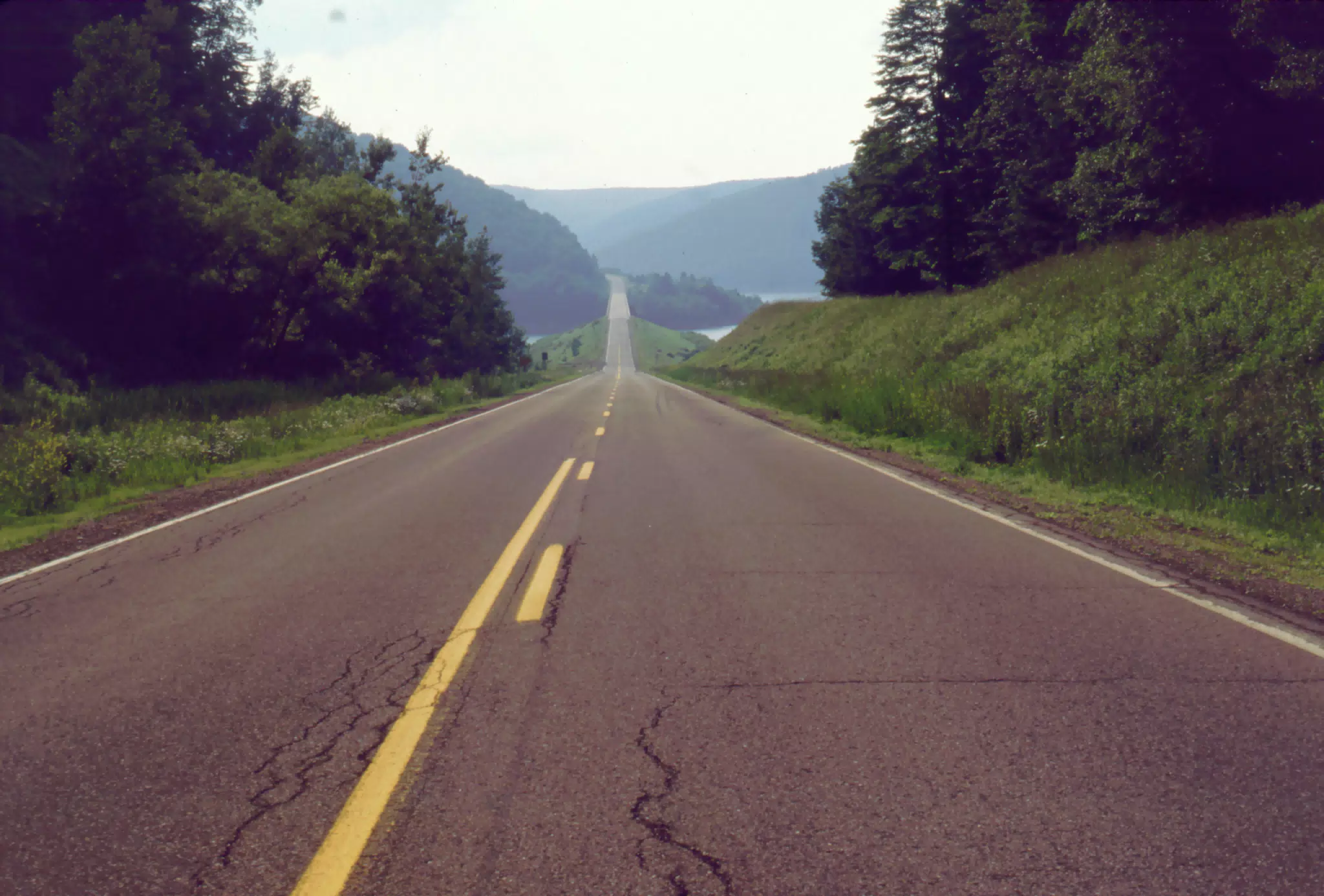Allegheny National Forest