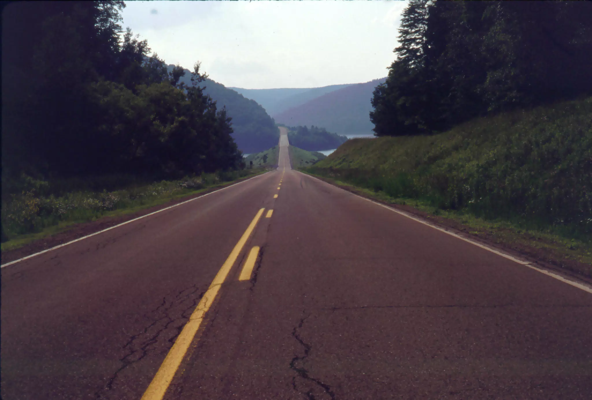 Allegheny National Forest