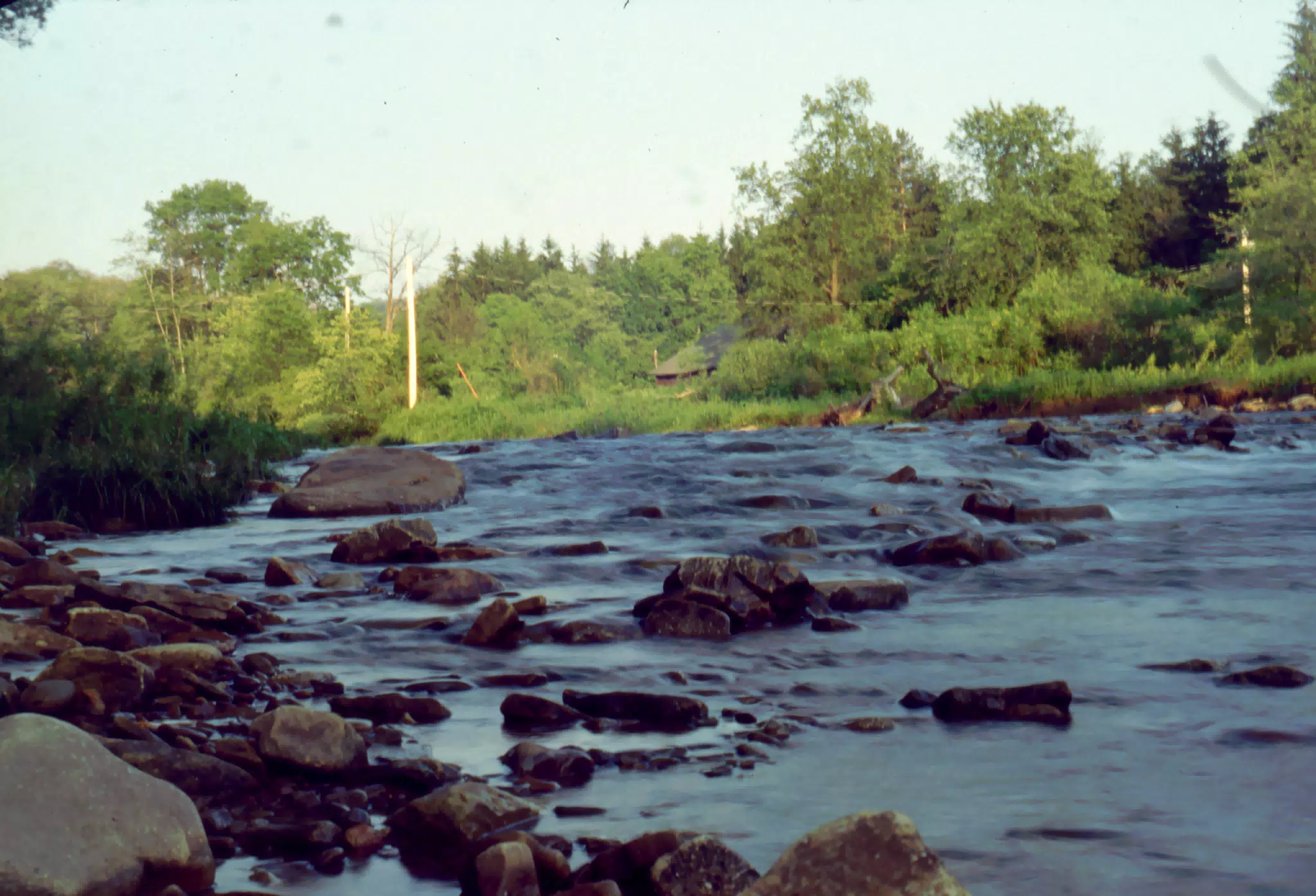 Allegany State Park, New York