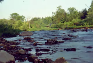 Allegany State Park, New York