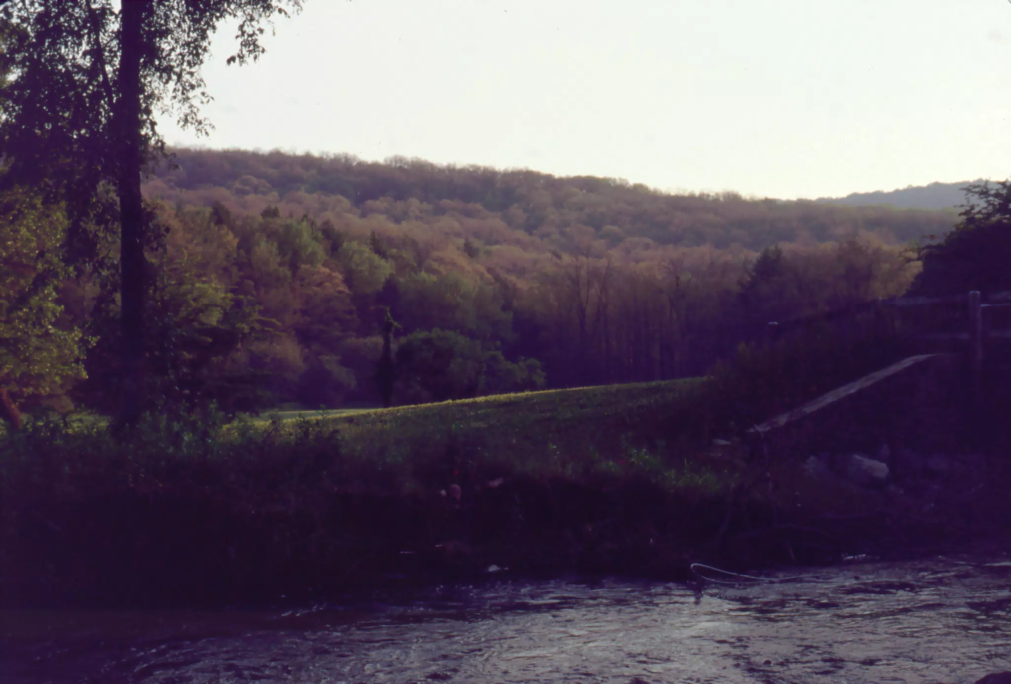 Allegany State Park, New York