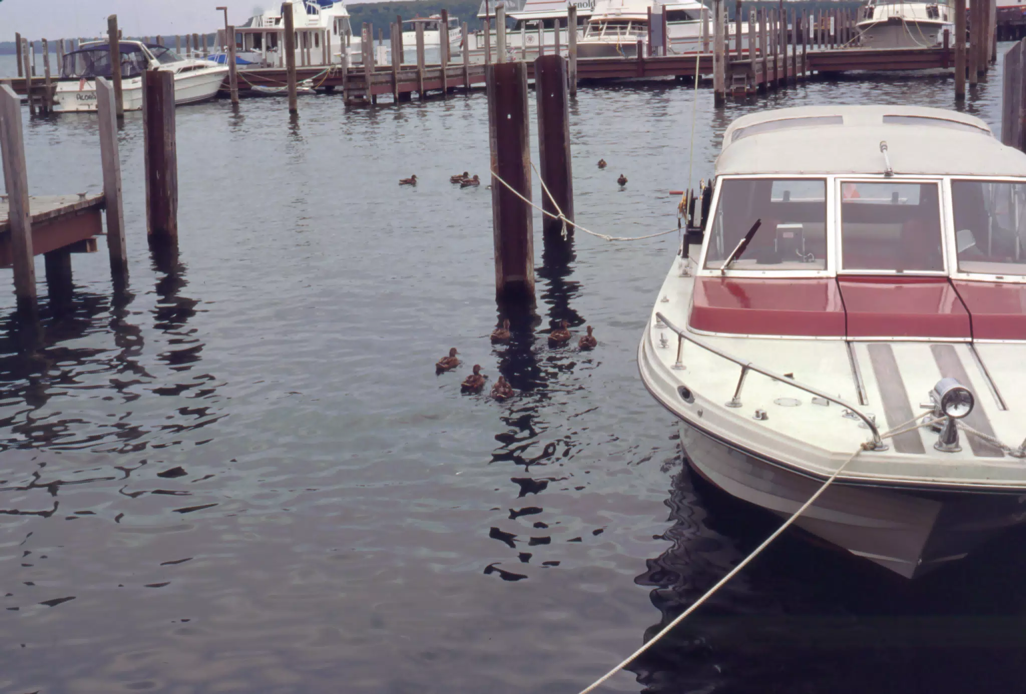 1994_158