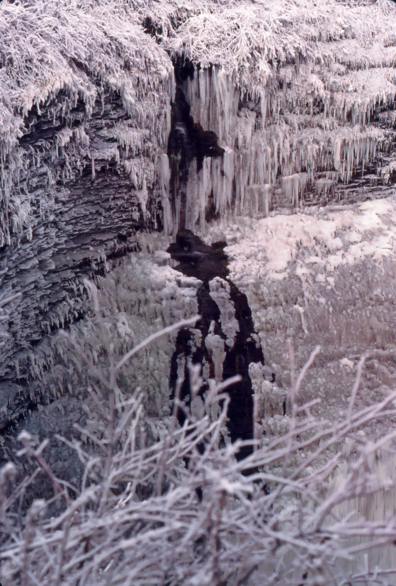 Letchworth State Park in Winter