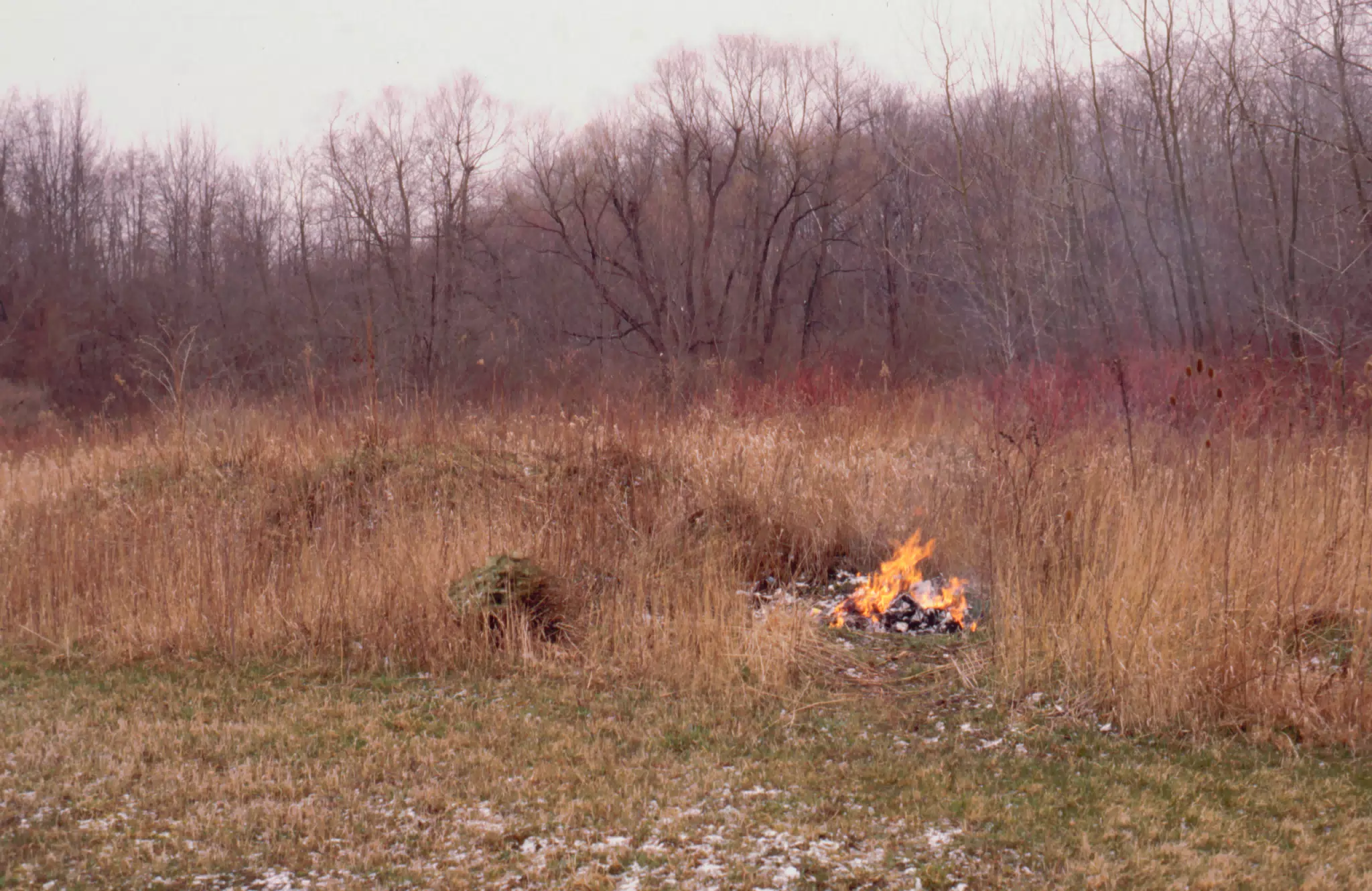 Burning Pile of Trash on the Farm