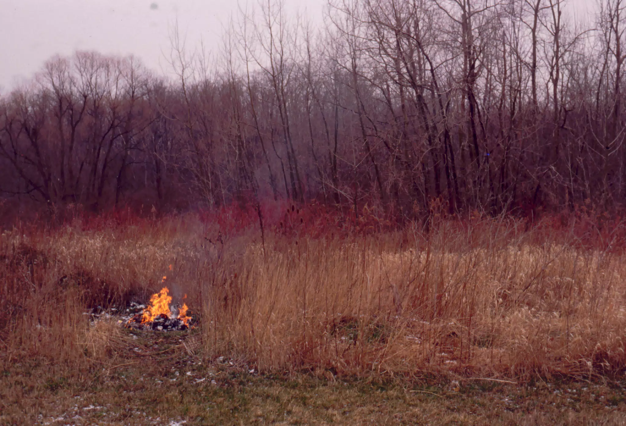 Burning Pile of Trash on the Farm
