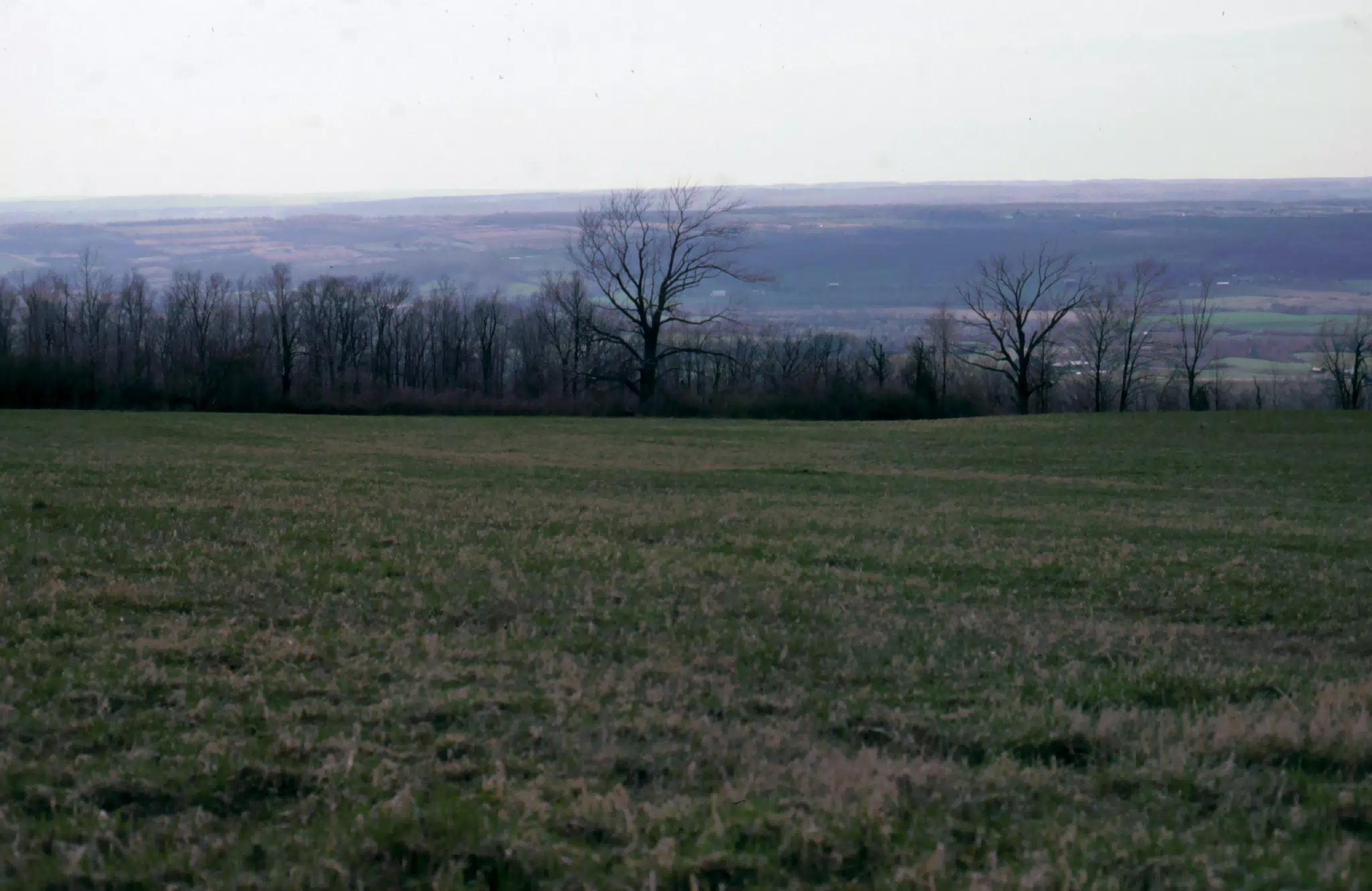 New York Valley