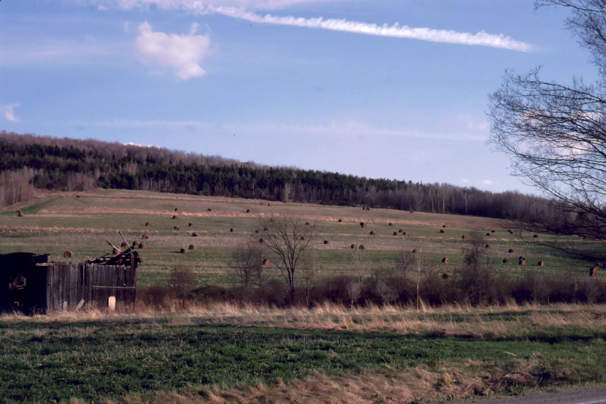Hillside in Southern Tier