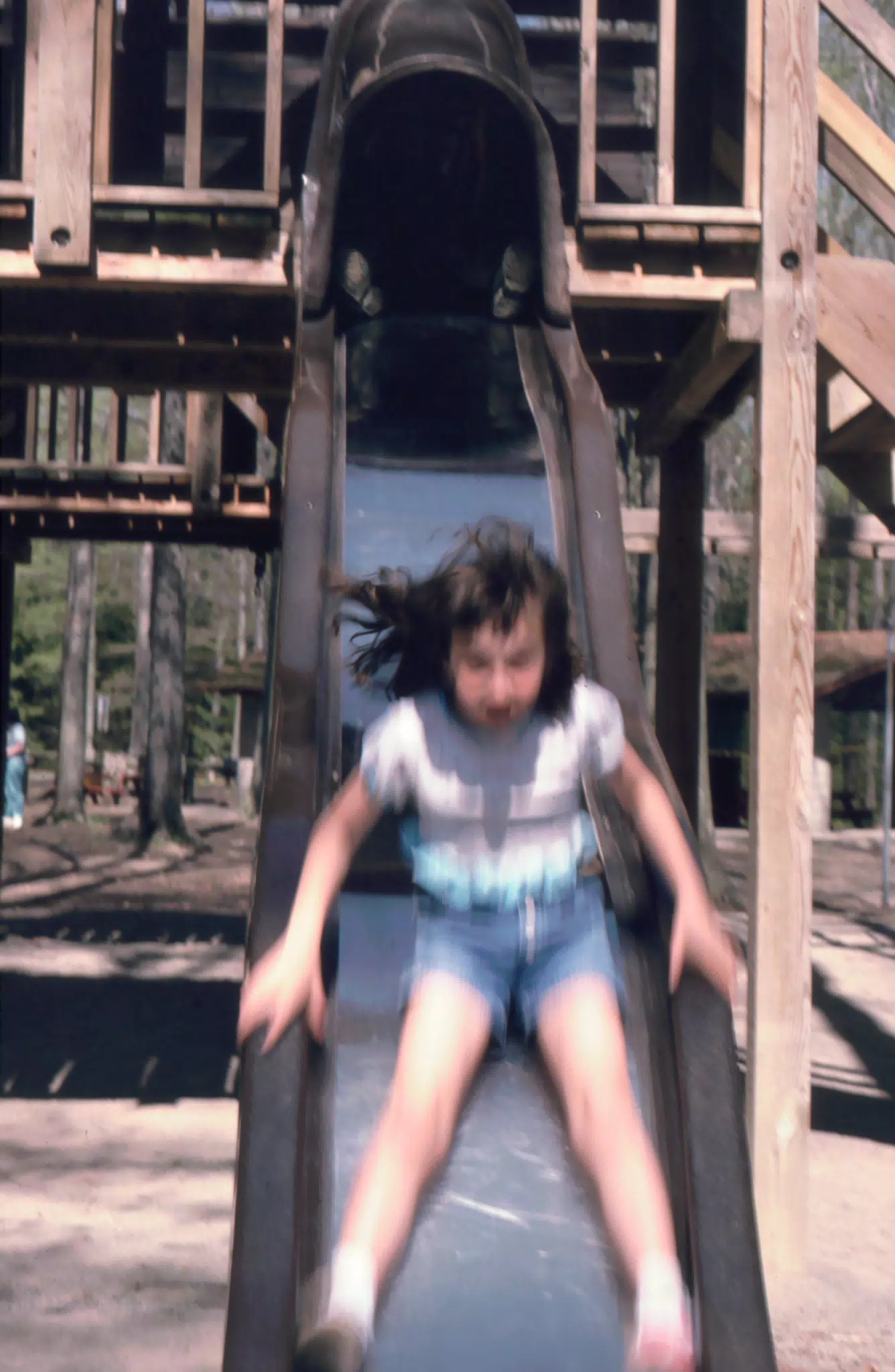 Sara Richardson on Slide at Genesee County Park