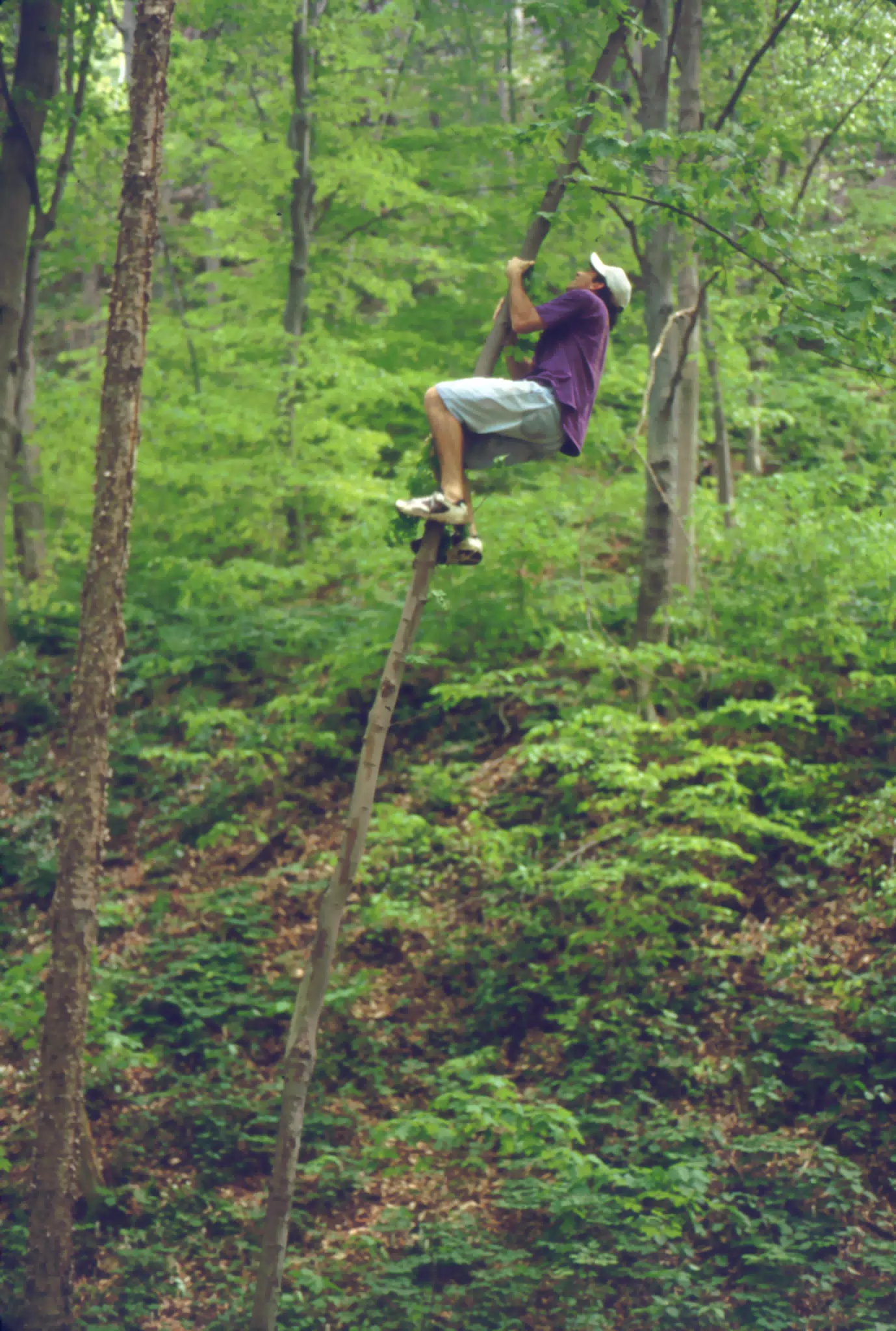 Jeff Simpson Climbing Tree in Taughannock State Park