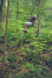 Jeff Simpson Climbing Tree in Taughannock State Park