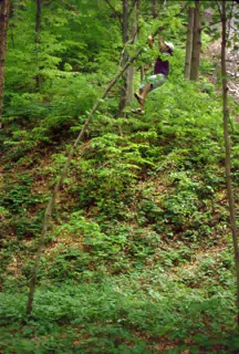 Jeff Simpson Climbing Tree in Taughannock State Park