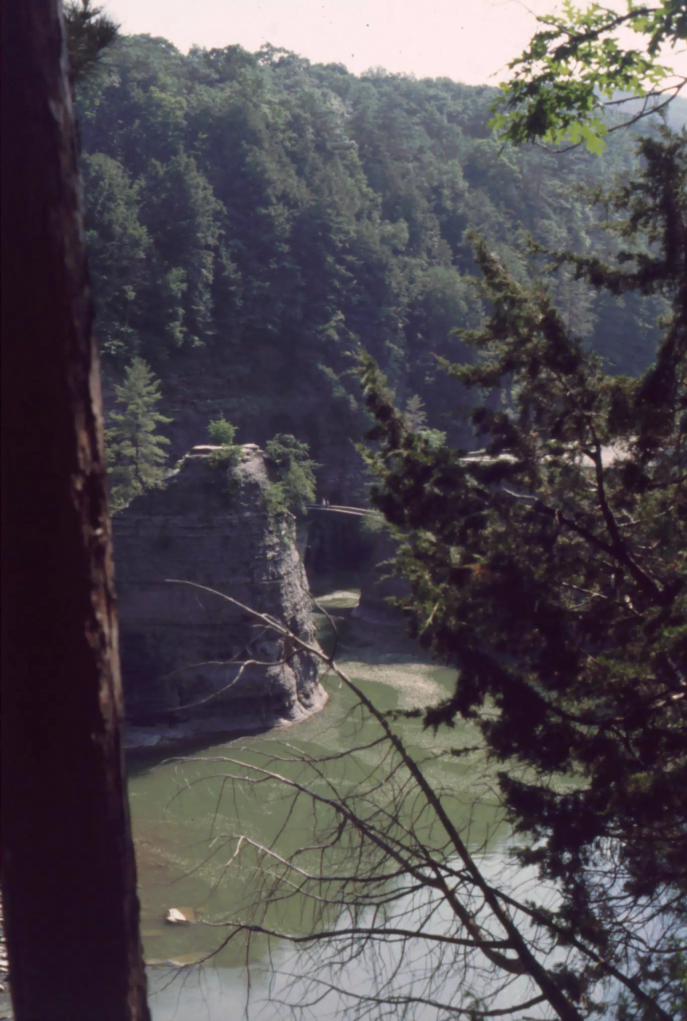 Genesee River Gorge in Letchworth State Park, New York