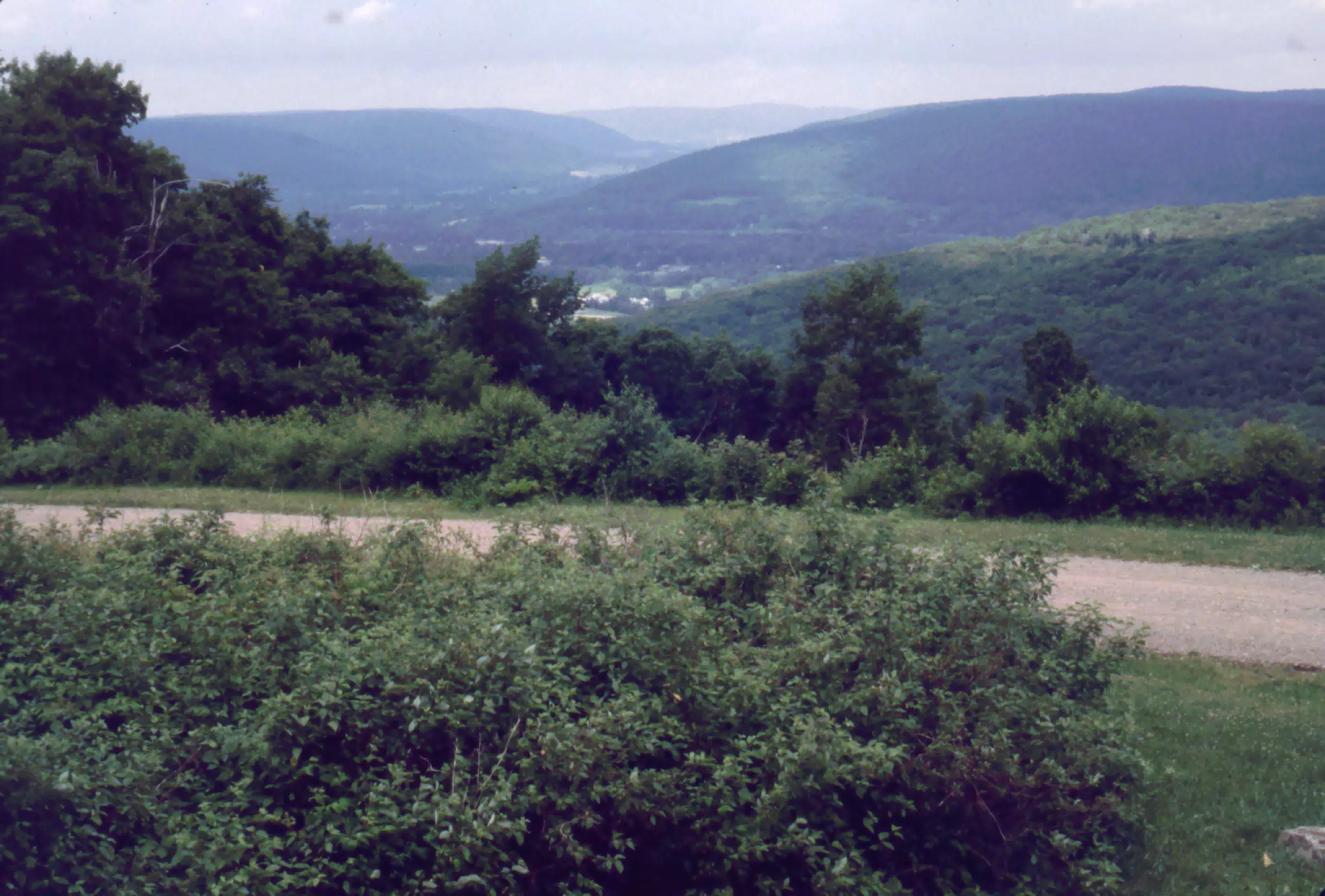 Allegany State Park, New York