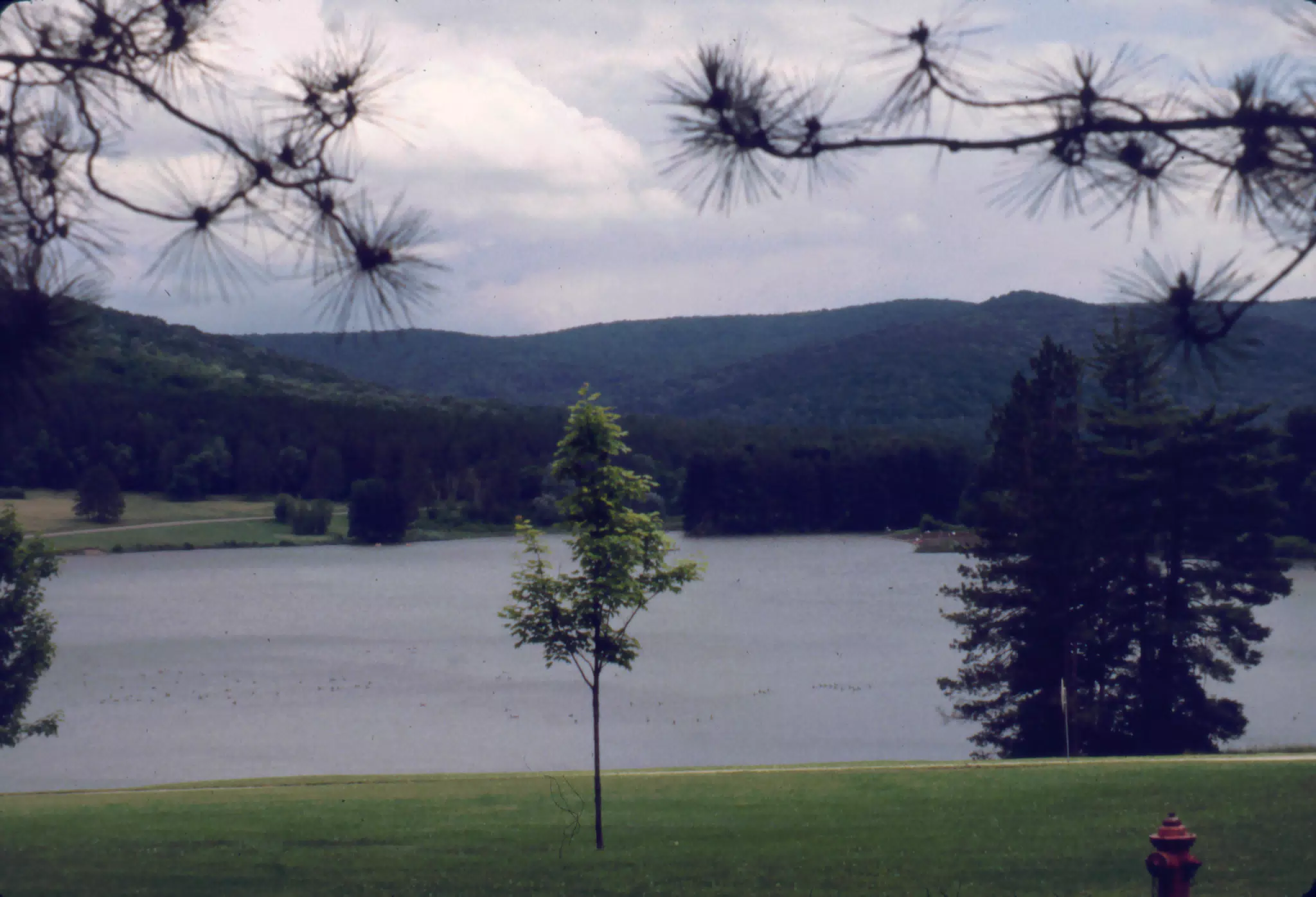 Allegany State Park, New York