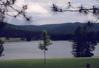 Allegany State Park, New York