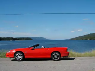 Dominica in Camaro in Nova Scotia