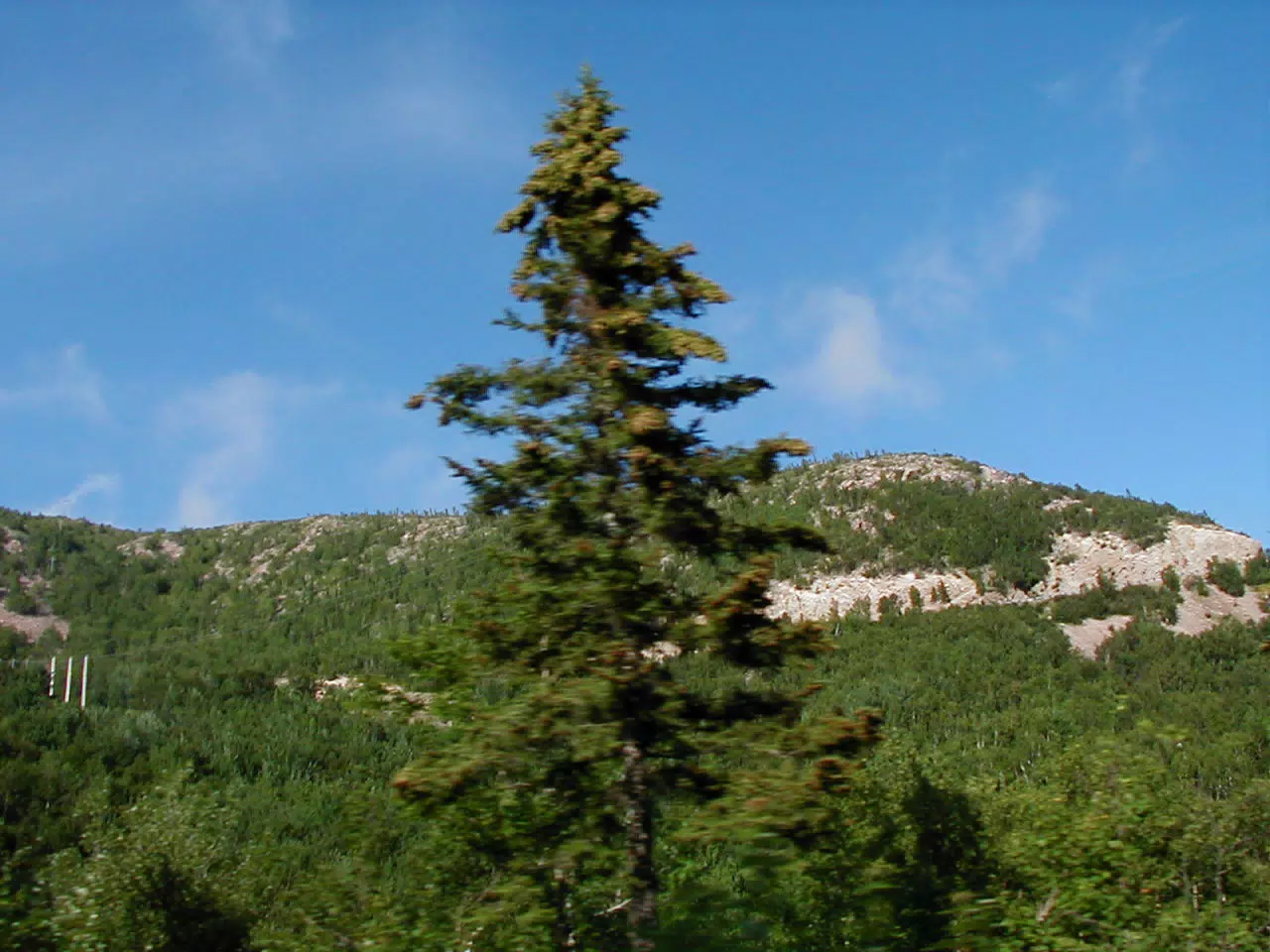Cape Breton Highlands