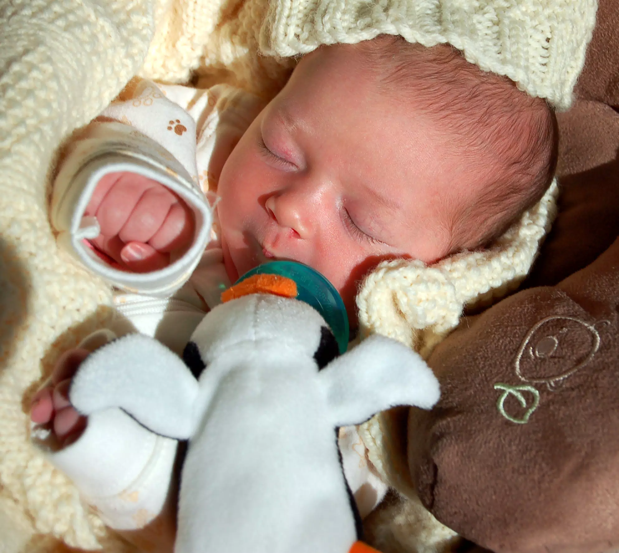 Liesl Sleeping with Her Penguin