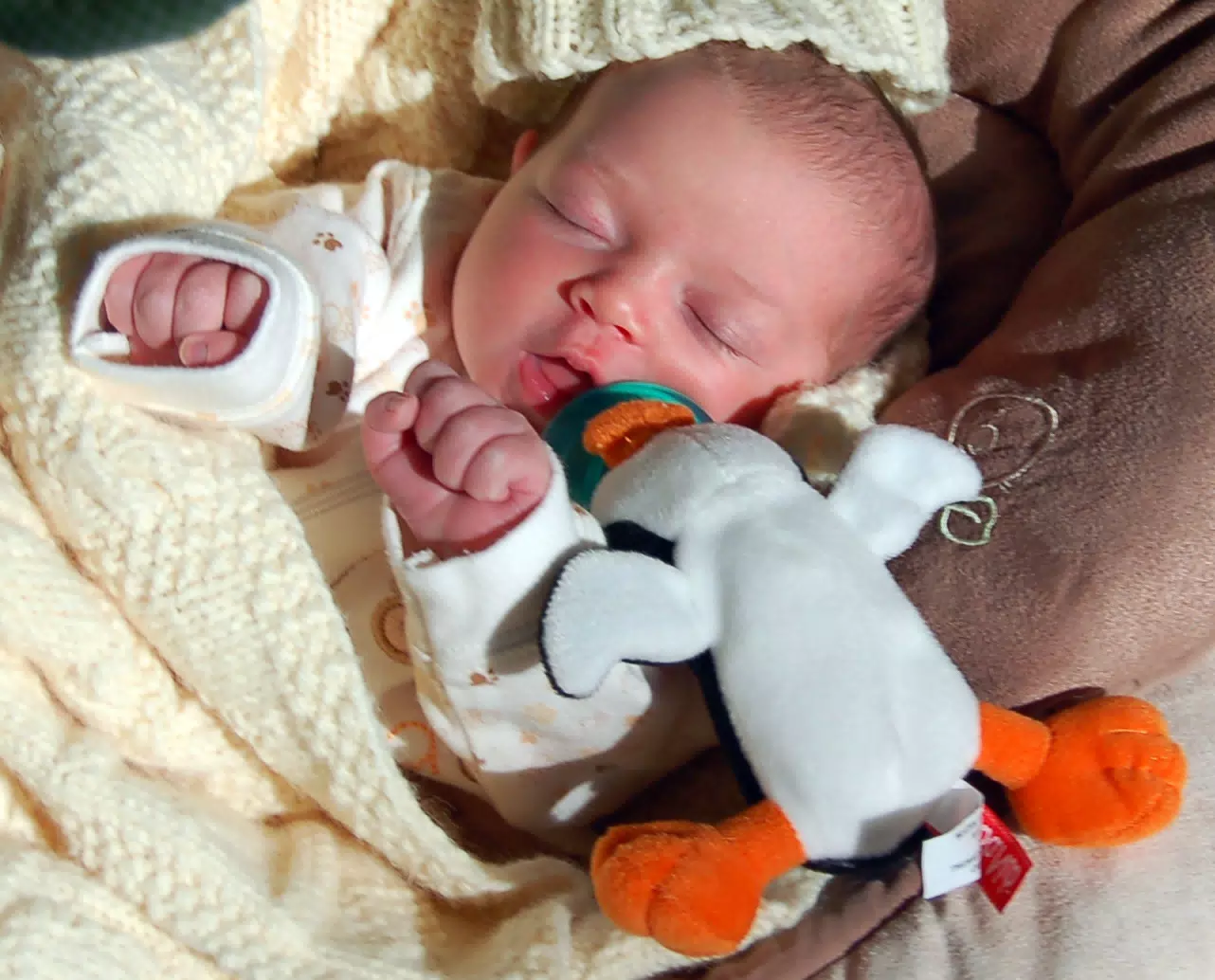 Liesl Asleep with Her Penguin