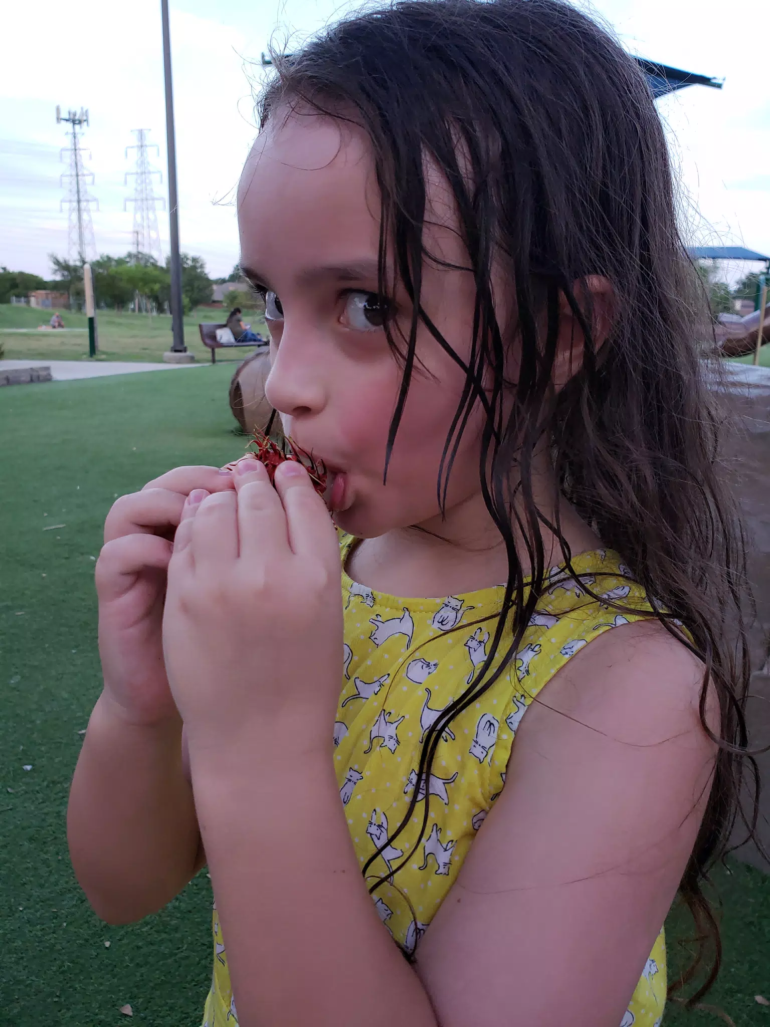 Luciana's First Lychee Fruit