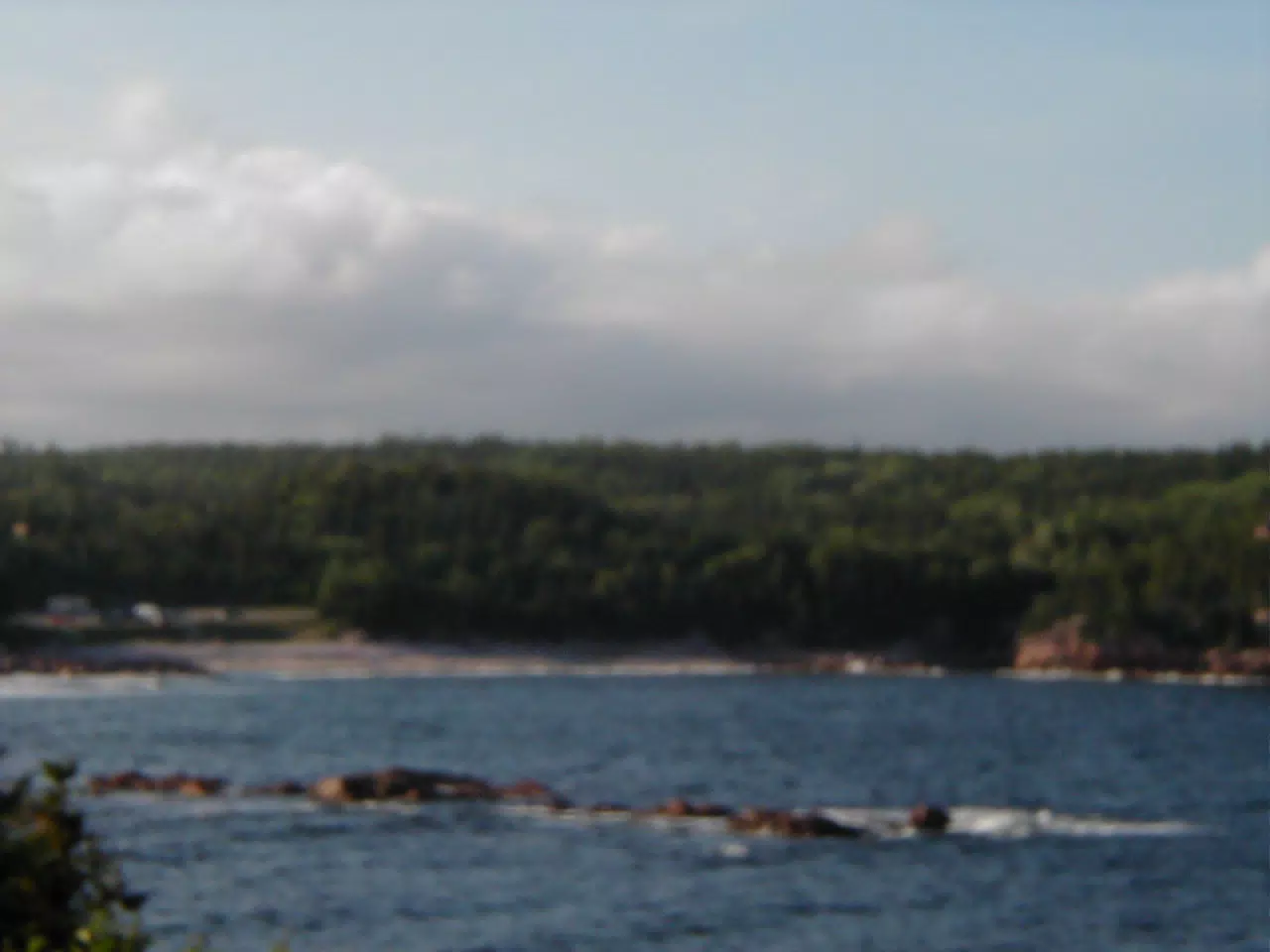 Cape Breton Highlands - Blurry