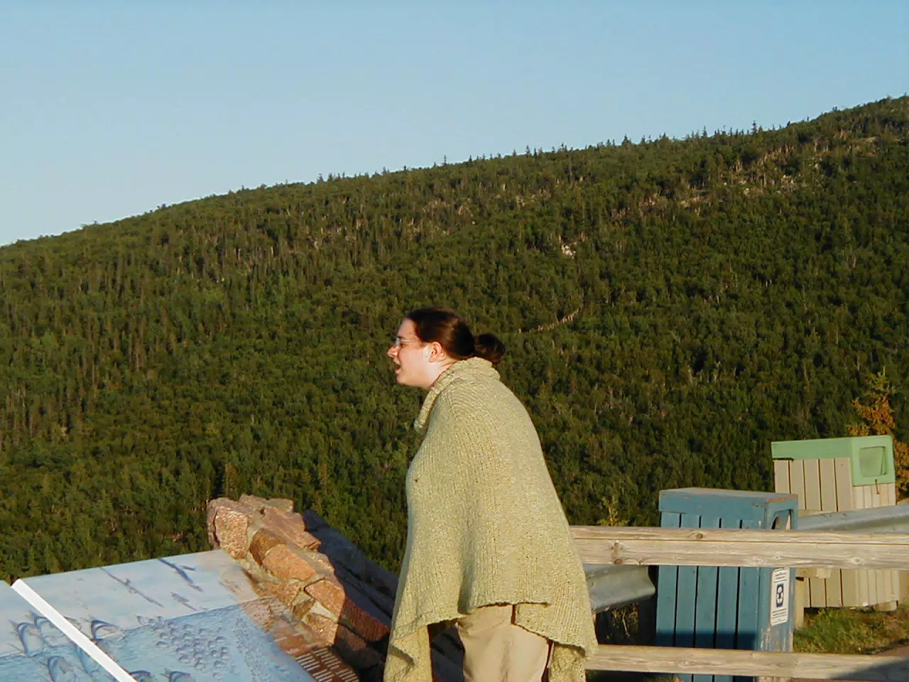 Dominica Miller Whale Watching in the Cape Breton Highlands