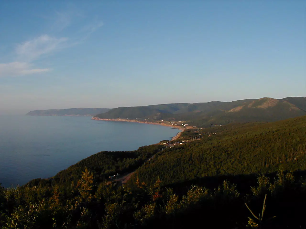 Whales off of Cape Breton