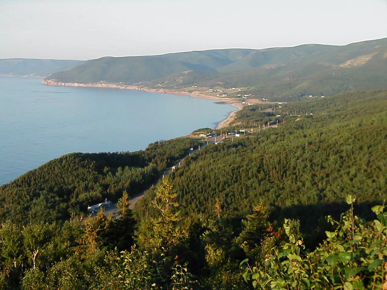 Whales off of Cape Breton