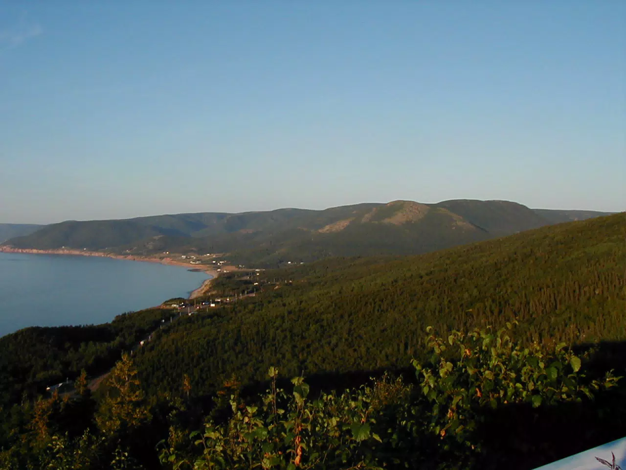 Whales off of Cape Breton