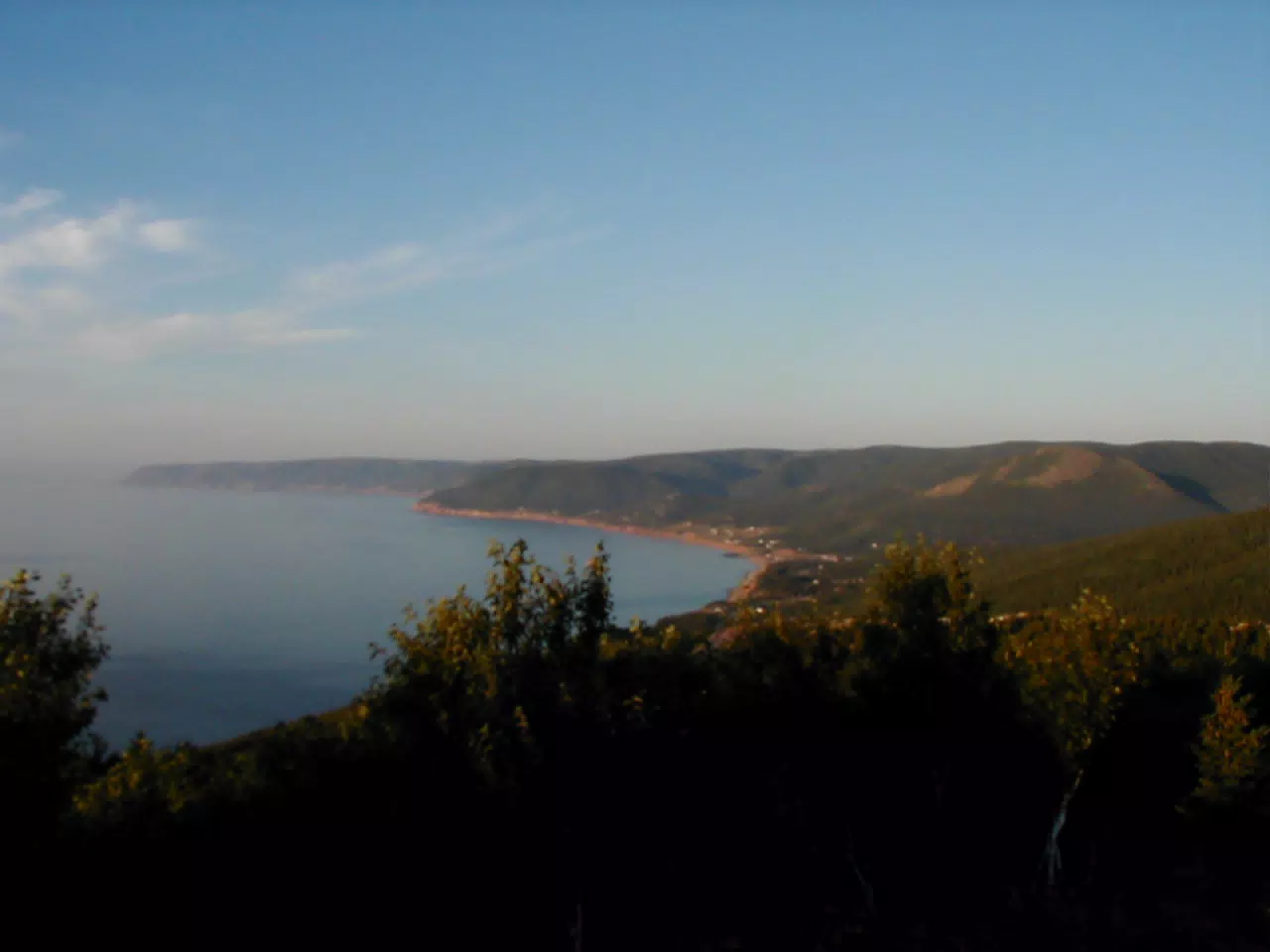 Whales off of Cape Breton